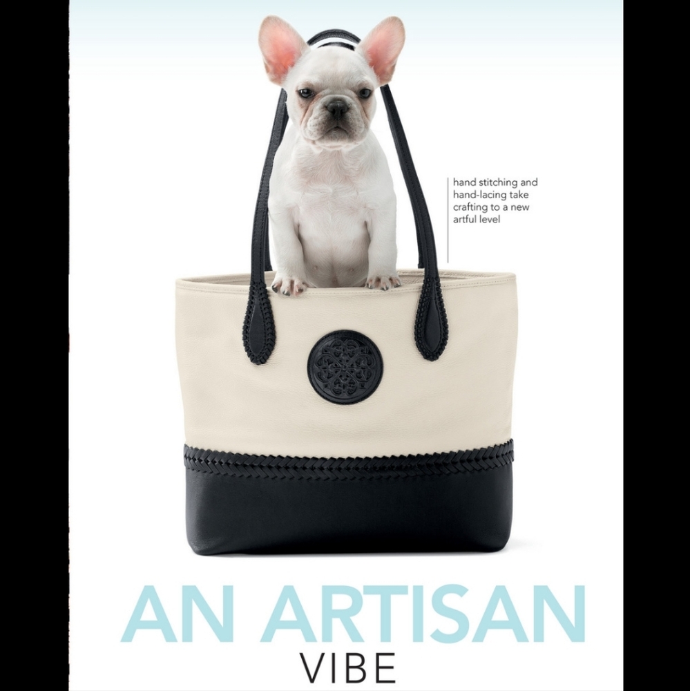 Brighton Flavia Colorblock Bag